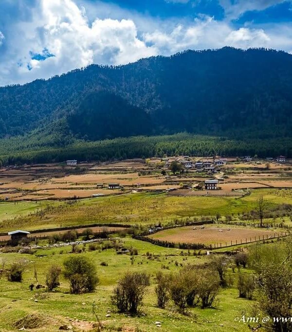 Bhutan Travel Packages