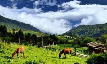 Bhutan tour package nature wildlife discovery