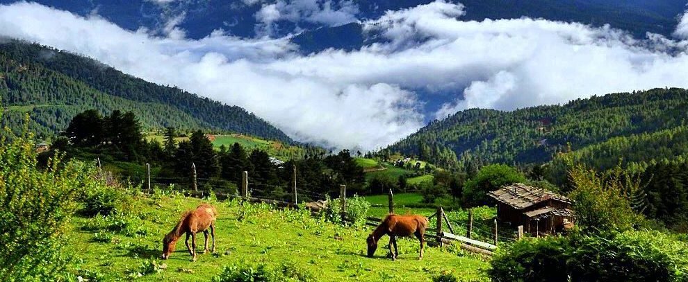 Bhutan tour package nature wildlife discovery