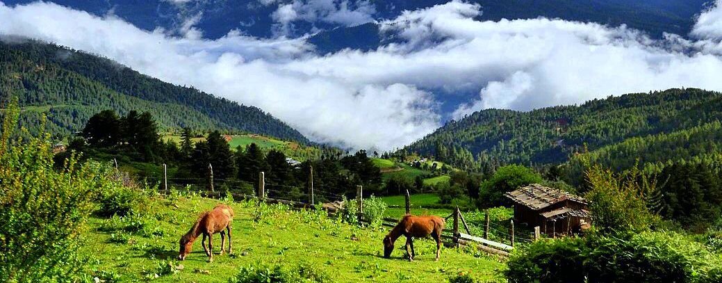 Bhutan tour package nature wildlife discovery